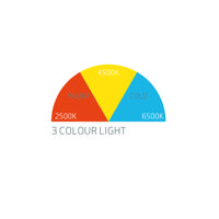 5000 Lomen Color 5000 lumen cabled LED work light with 3 kelvin settings and 2 outles