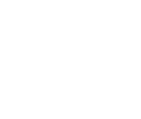   Dimmfunktion mit fünf Lichtstufen 10 % - 100 %   Ein- Ausschalten, Akkustand überprüfen   Bis zu 4 Leuchten gleichz   