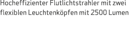 Hocheffizienter Flutlichtstrahler mit zwei flexiblen Leuchtenk pfen mit 2500 Lumen