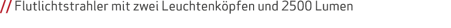 // Flutlichtstrahler mit zwei Leuchtenk pfen und 2500 Lumen