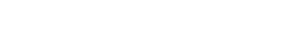 BASIC Projecteur universel compact 1000 lumens