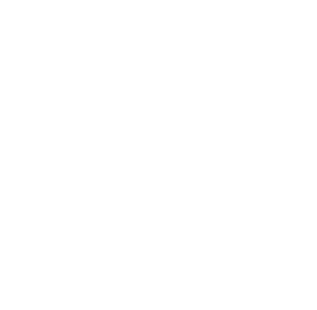• March /Arr t • Variateur d’intensit sur 5 niveaux de 10 %   100 % • V rifiez le niveau de la batterie • Contr lez ...