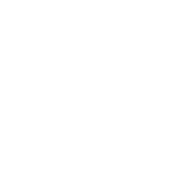 • Dim lyseffekten i opptil 5 niv er 10 %–100 % • Sl p /av, kontroller batteriet • Gruppekontrollfunksjon, opptil 4 l...