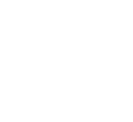 • 5 poziom w regulacji nat enia  wiat a 10%–100% • W  czanie/Wy  czanie, sprawdzenie stanu akumulatora • Funkcja ste...