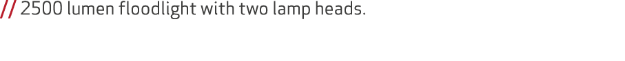 // 2500 lumen floodlight with two lamp heads.