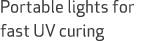 Portable lights for fast UV curing