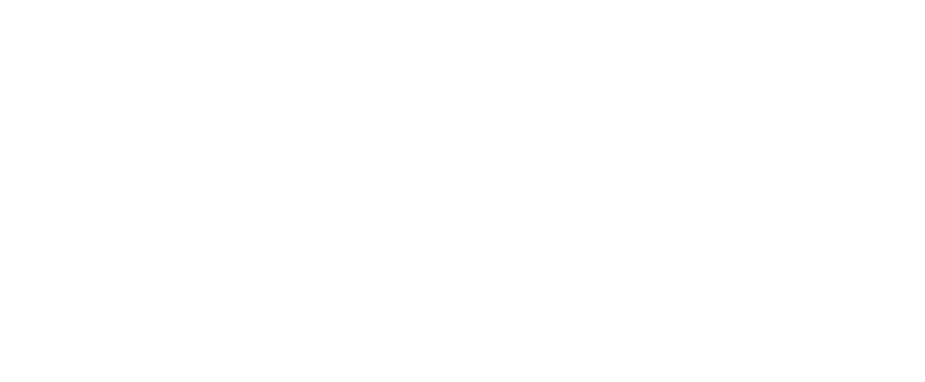 • BOOST MODE • Pratica fondina clip on da applicare alla cintura da lavoro • Interruttore magnetico da attivare con u...