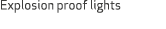 Explosion proof lights