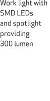 Work light with SMD LEDs and spotlight providing 300 lumen